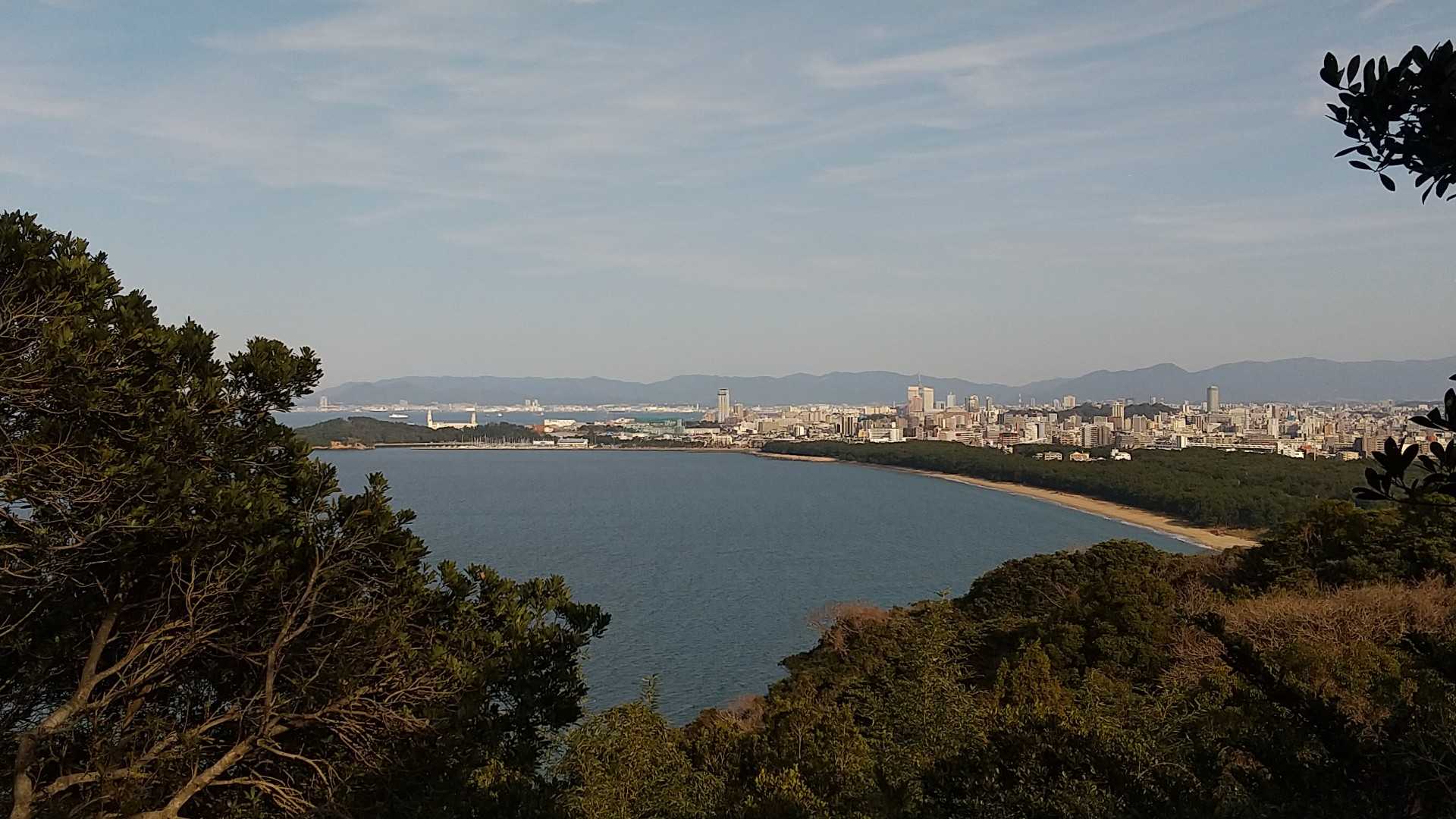 長垂山 往復コースの写真