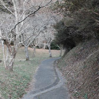 なんとか山頂で夕日を拝みたい、間に合うかな？