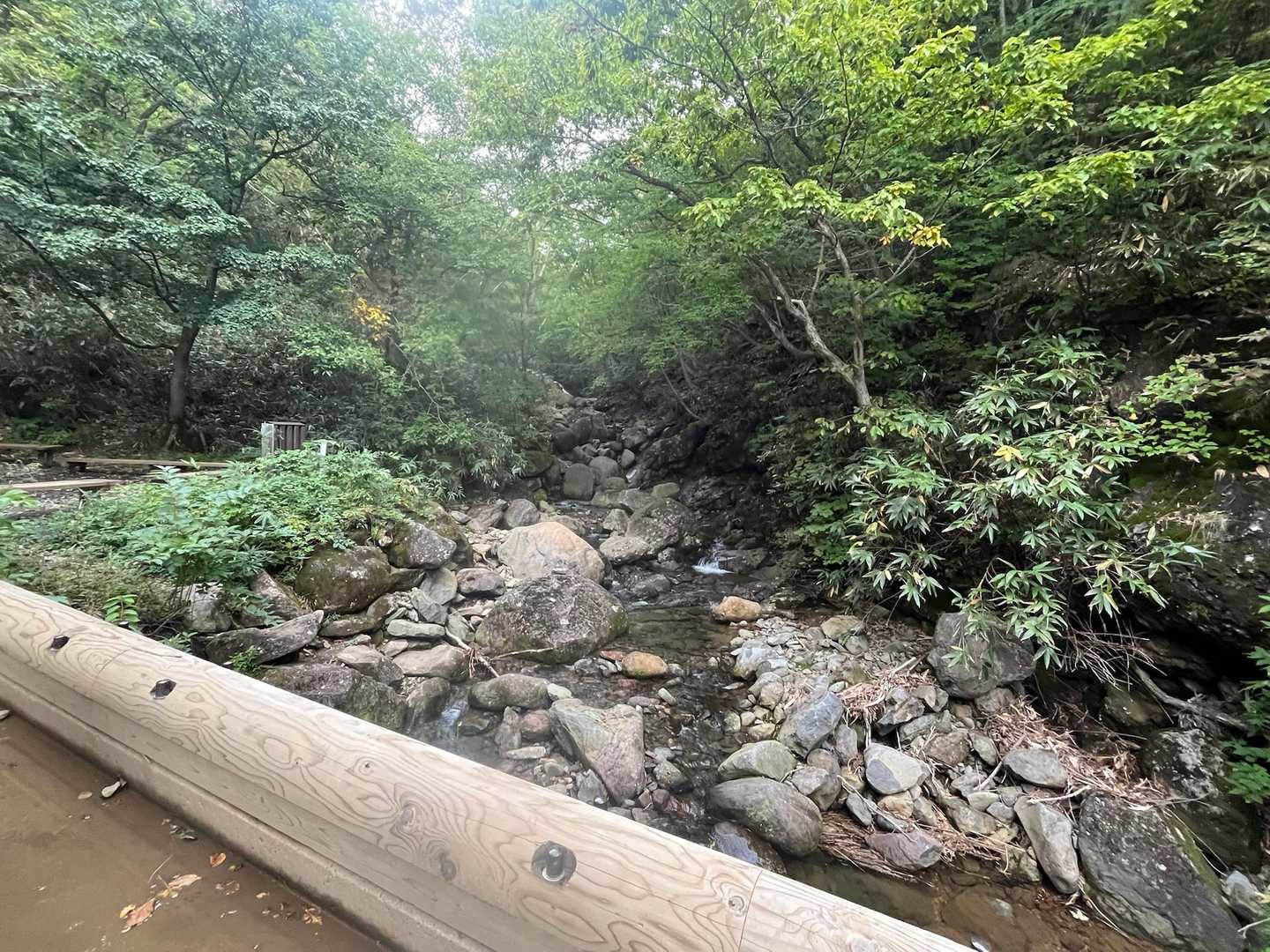 沢あった