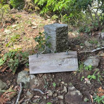 ヨウヘイギノ頭登頂1286m