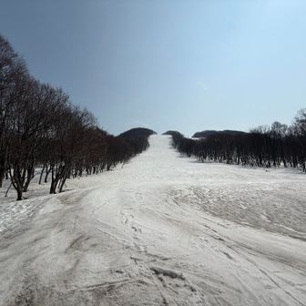 良い休日でした