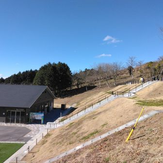 アクティビティ施設にテレビが来ていた。