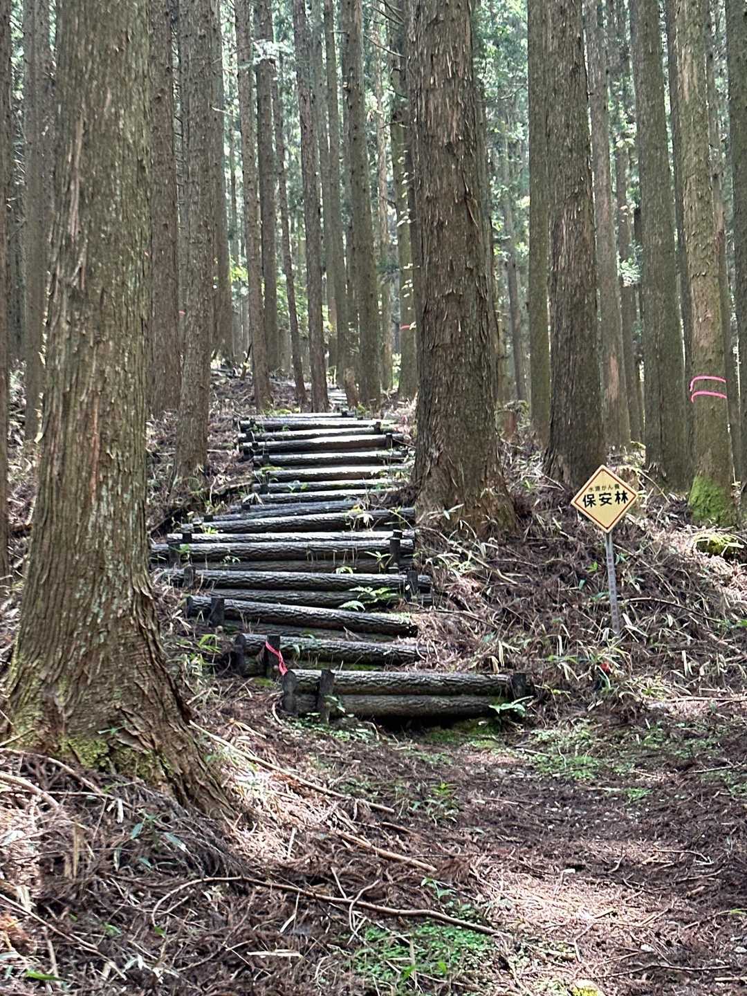 キタキタ‼️階段地獄🤣