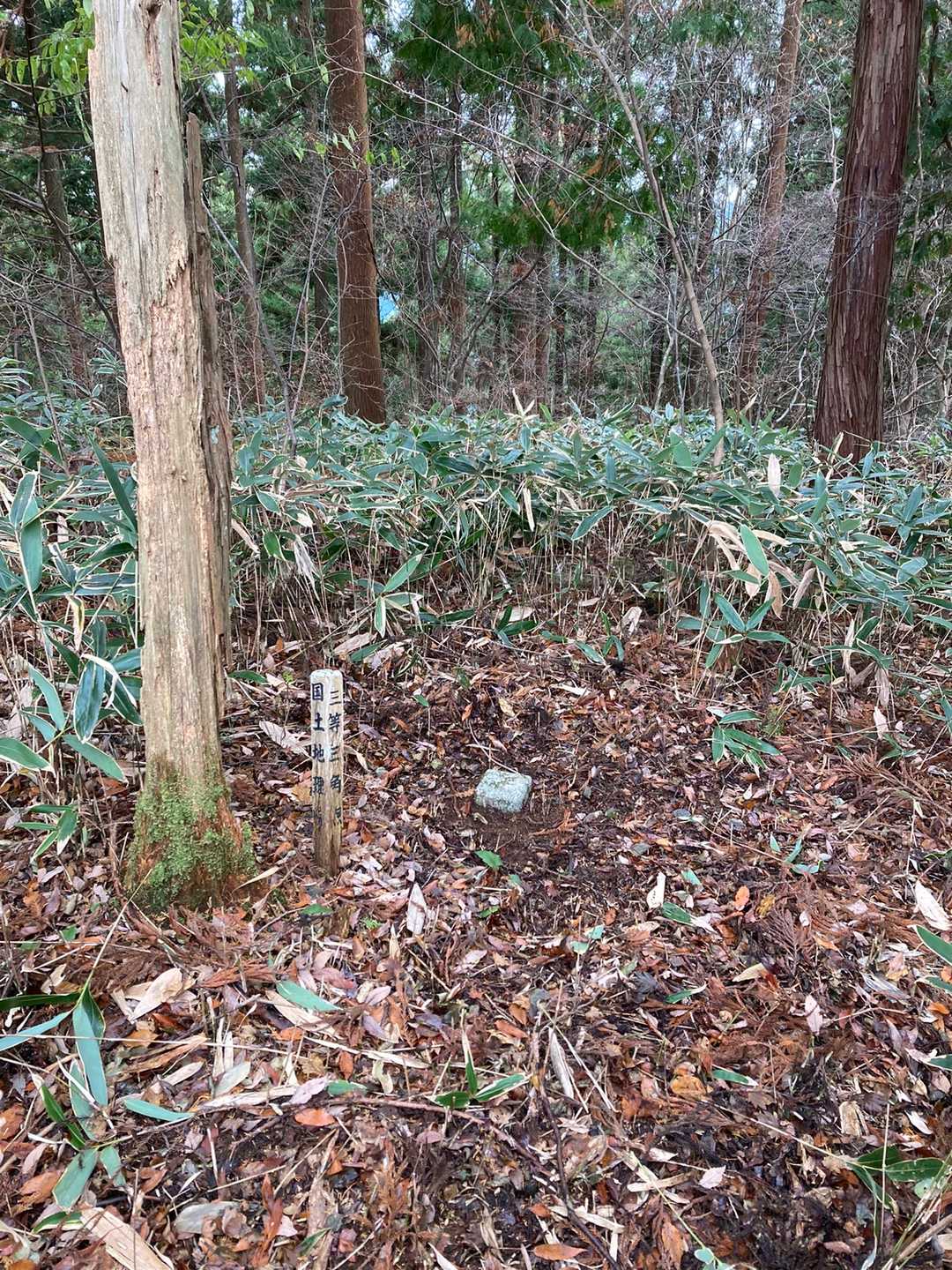 滝谷山到着。
三角点の周りの笹を刈り払った。