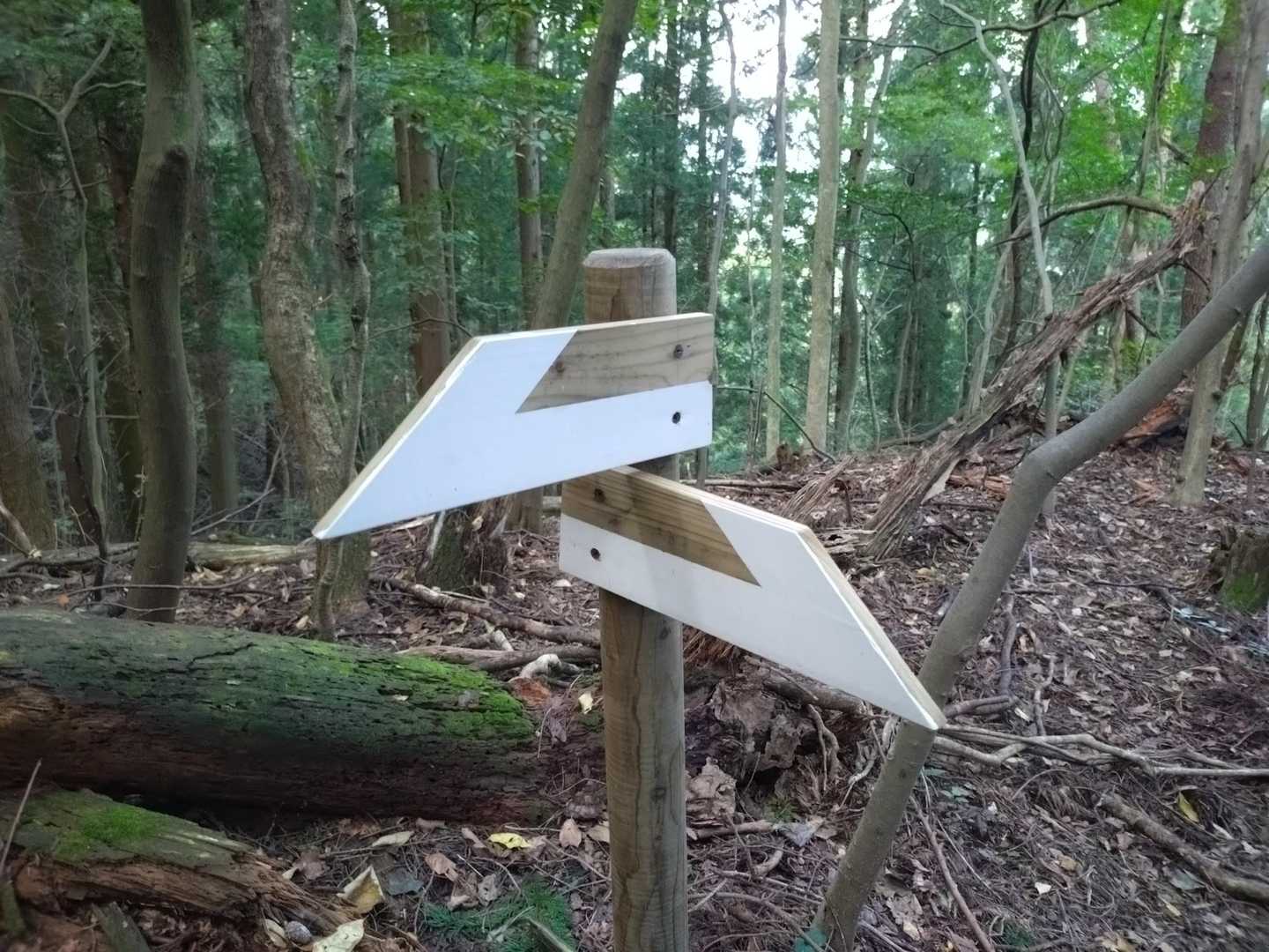 標識🚸には地名入ってませんが 😅
