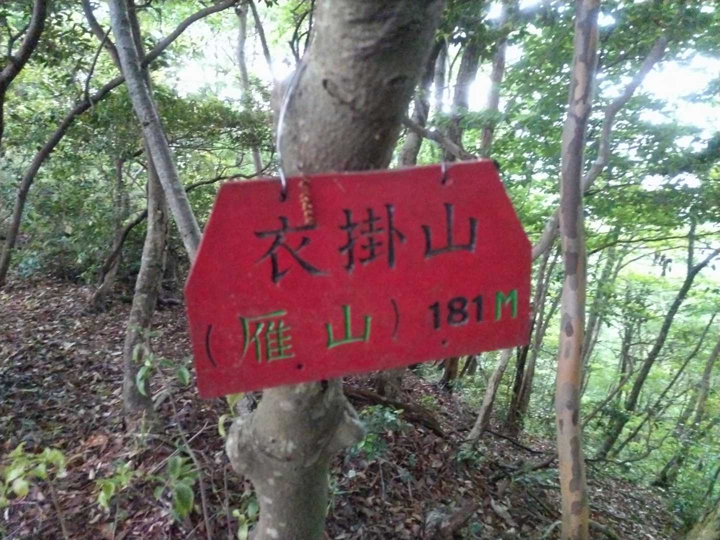 衣掛山登山口-衣掛山 往復コースの写真