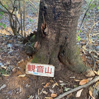 道に迷う、低山でも迷う、気を付けよう