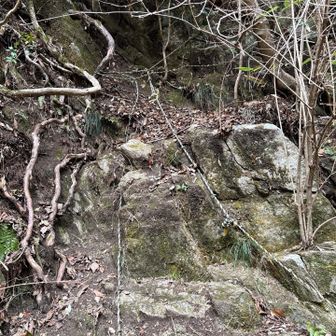 六甲山・長峰山・摩耶山 左側を巻きます