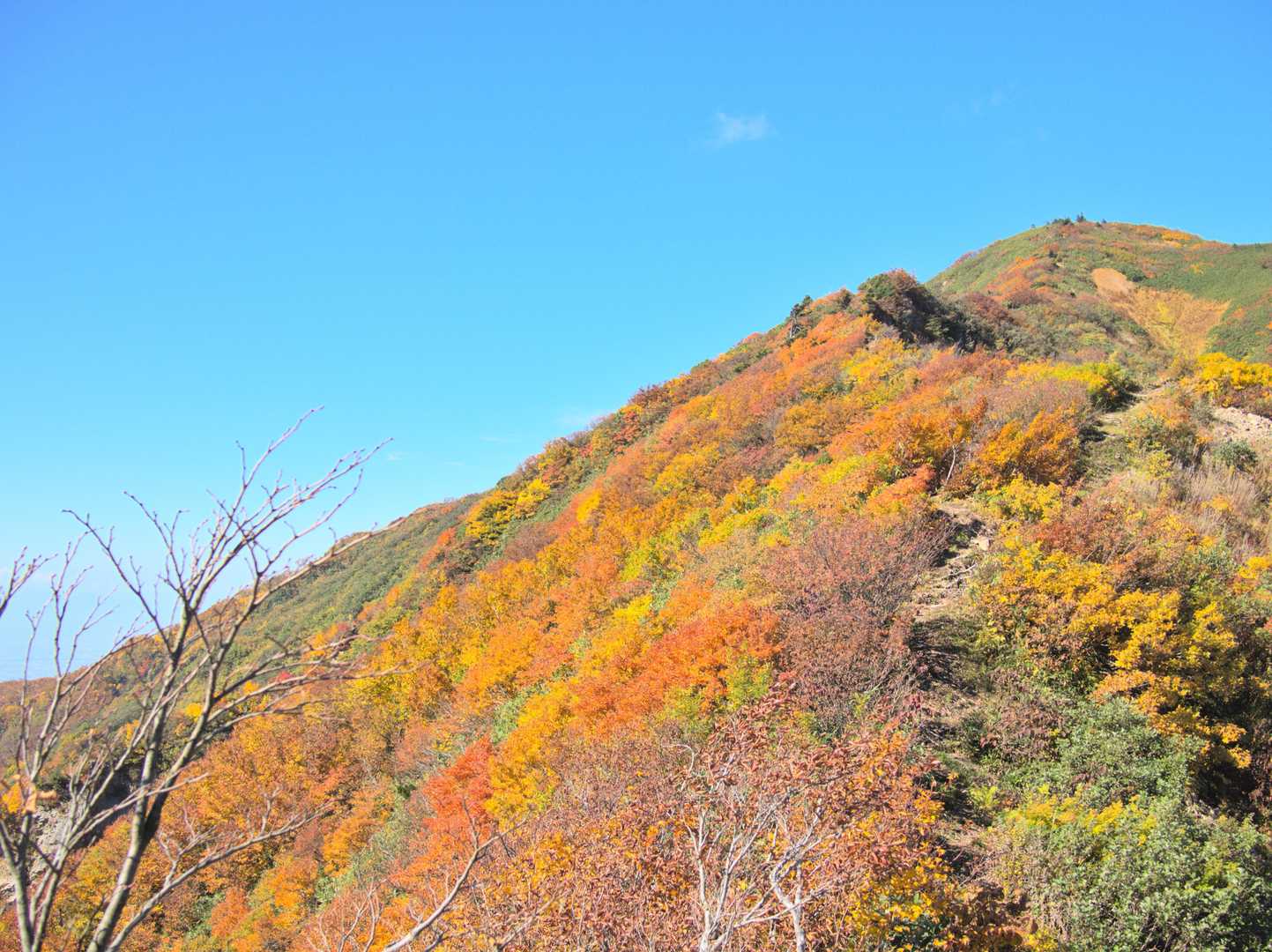 伊折山-成谷山 -僧ヶ岳-北駒ヶ岳-駒ヶ岳 往復コースの写真
