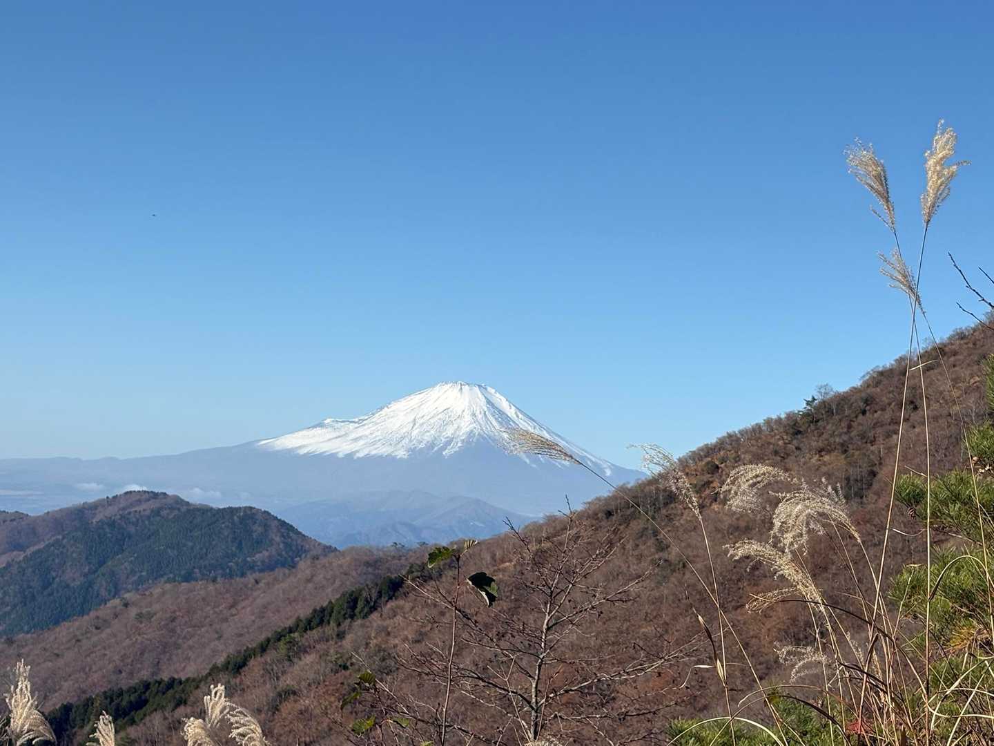 久しぶりの富士山🗻