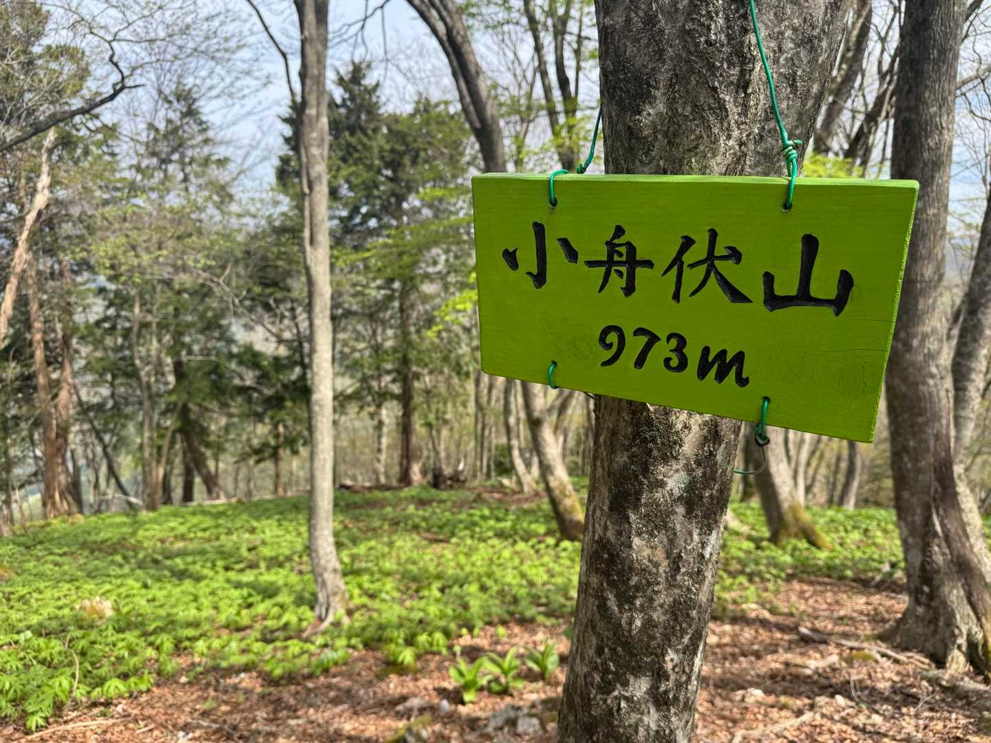 小舟伏山とーちゃーーく❗️