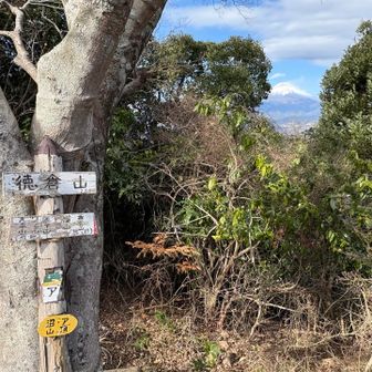 徳倉山
この山頂では木々の間から富士山がよく見えました🗻