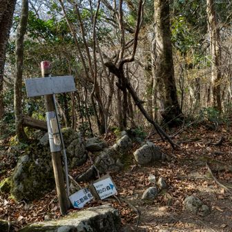 頭巾山山頂
気温２℃