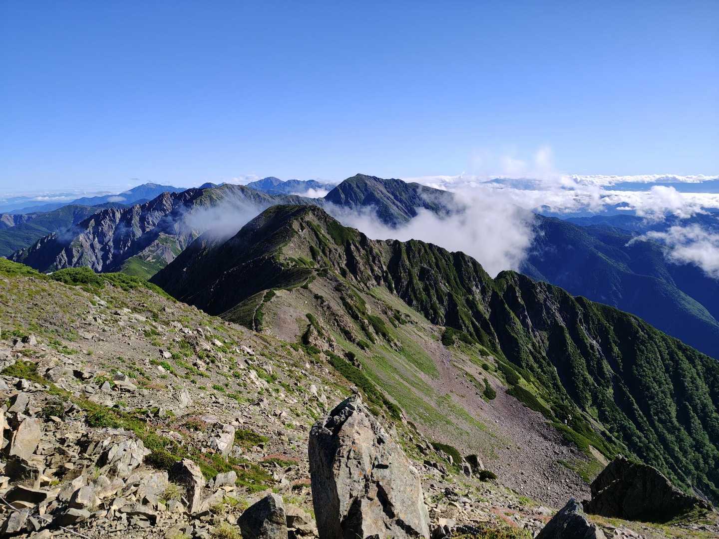 南プススターズ、右奥に荒川三山、三山の間に塩見、一番左奥が仙丈ヶ岳、写真だとほとんど分からないけど白根三山も見えた。