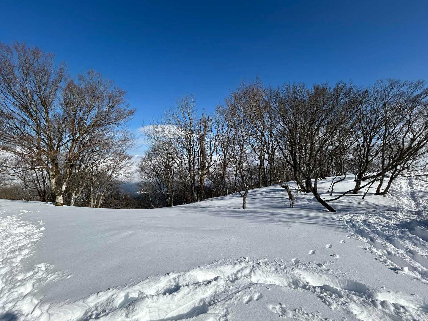 蛇谷ヶ峰 周回コースの写真