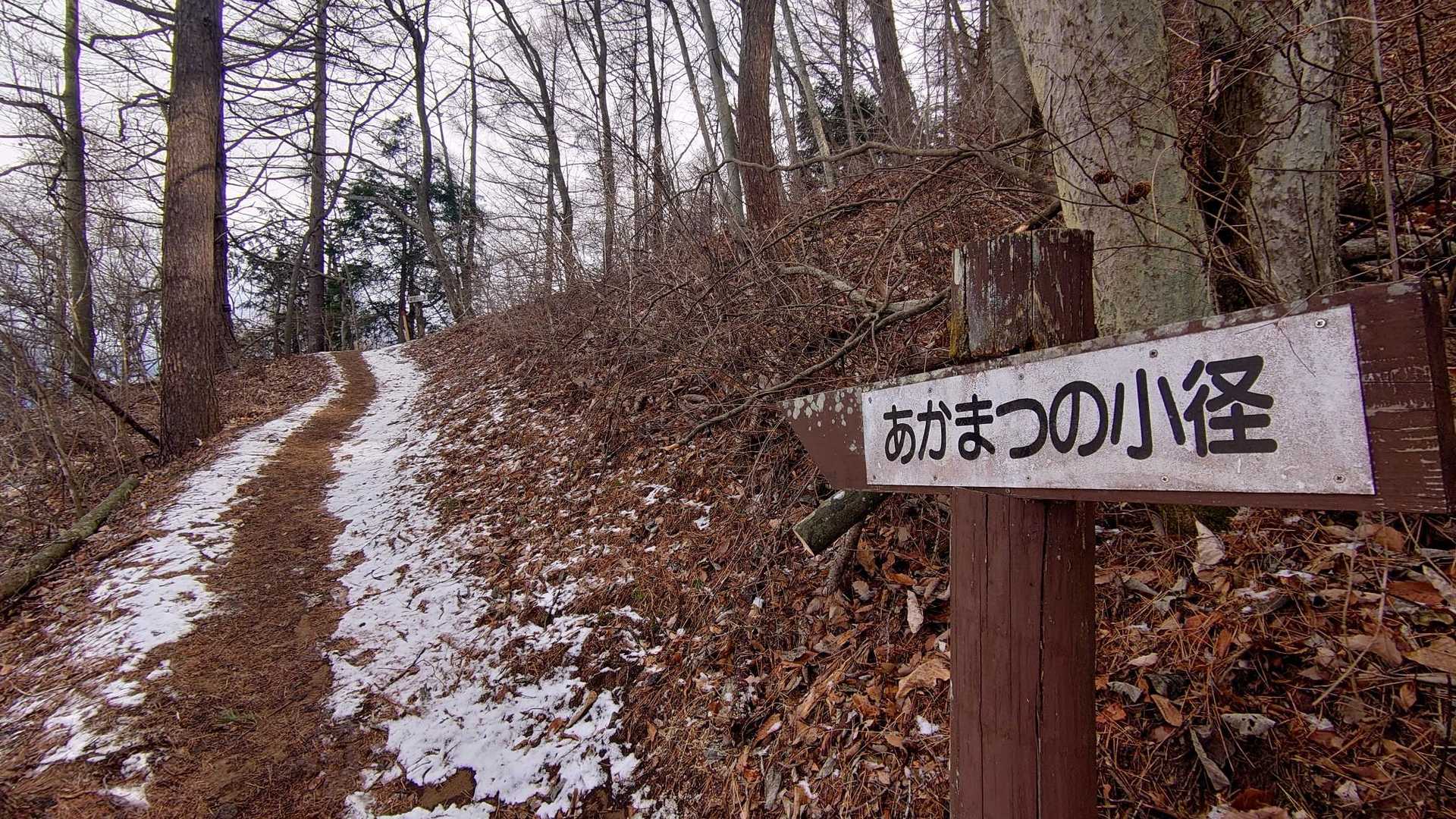 松茸は出るのかのー？
そんな事ばっか考えとる