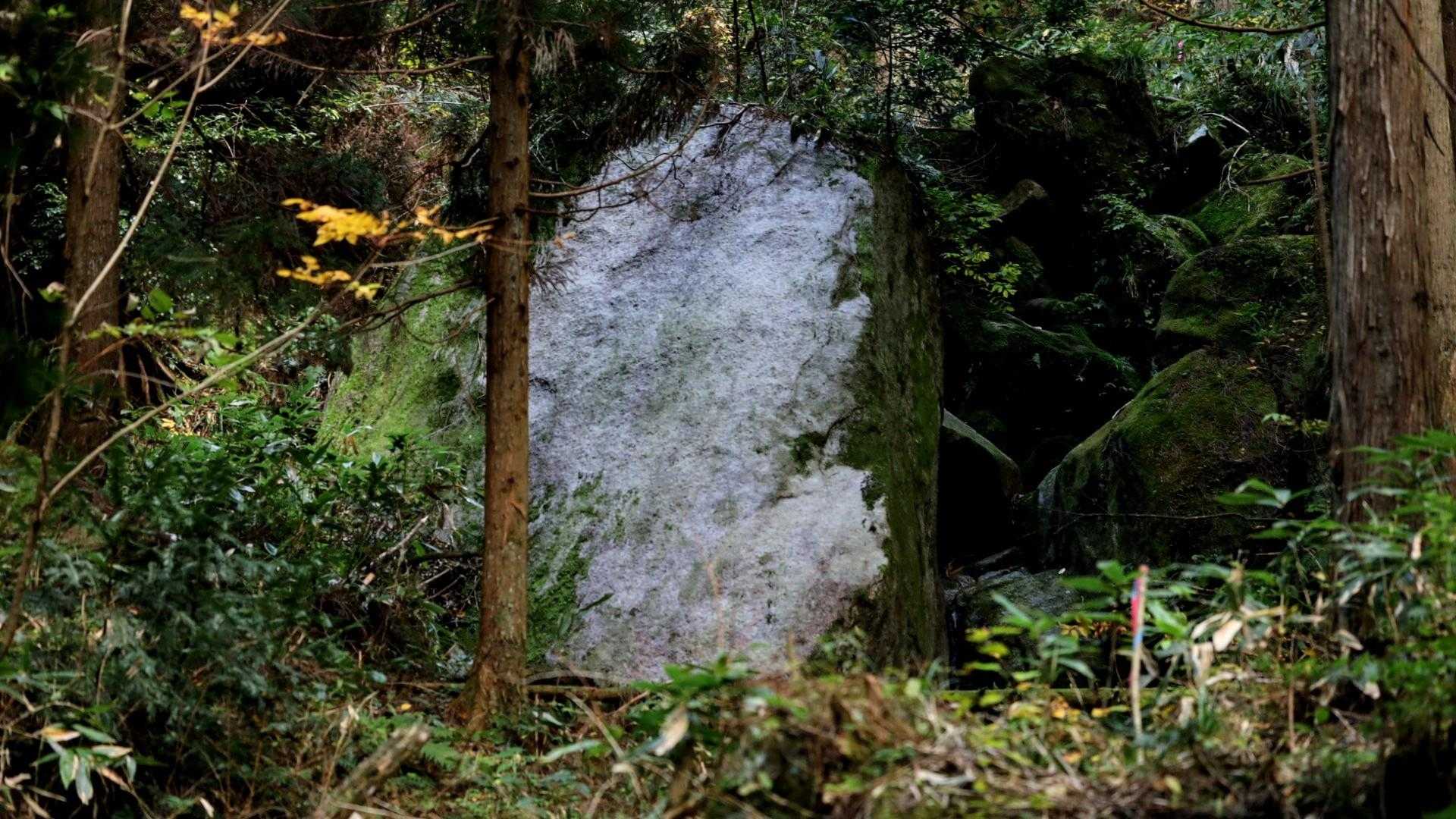 ぬりかべ～👻