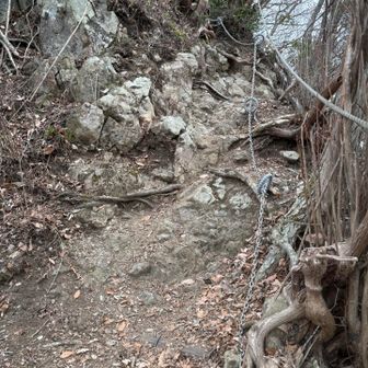 鎖場もあり
登りはいいけど下りがこわい...
高齢者の父
身体は硬いし、
首は回らないし、
瞬発力ないし、
ズルっと滑ったら、
何かにつまいずいたら、
大怪我、大事故につながりかねません

この間の大山の建設会社の副社長さんの事故も
父と年齢が近いだけに頭をよぎり、

引き返すか悩みました...

でも私が去年ここを歩いた時の記憶では
宮ヶ瀬湖からの最初の登りの記憶が強烈で
あとはずっと階段だと思っていた...

きっと最初だけ...🙏きっと大丈夫...
という事で先に進んで
展望台まで行って戻ってきました。

無事に戻って来れてホッとしていた私の横で

今度カメラ持って氷華撮りに来ようかなぁ🤔と父

へ？

どこまでも前向きな父😅
