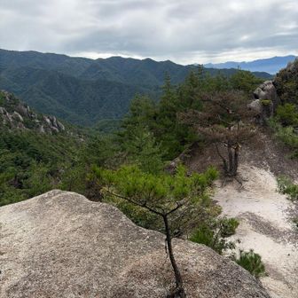 登山道から少し離れたところにある「太刀の抜石」に向かう