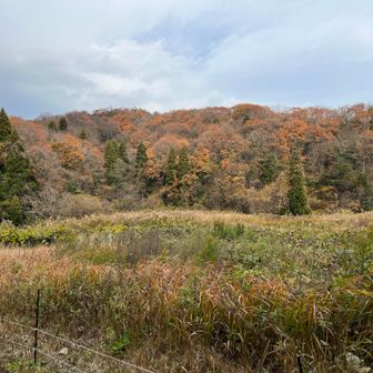 城光寺の滝登山口の手前から。まだ紅葉は残ってそう