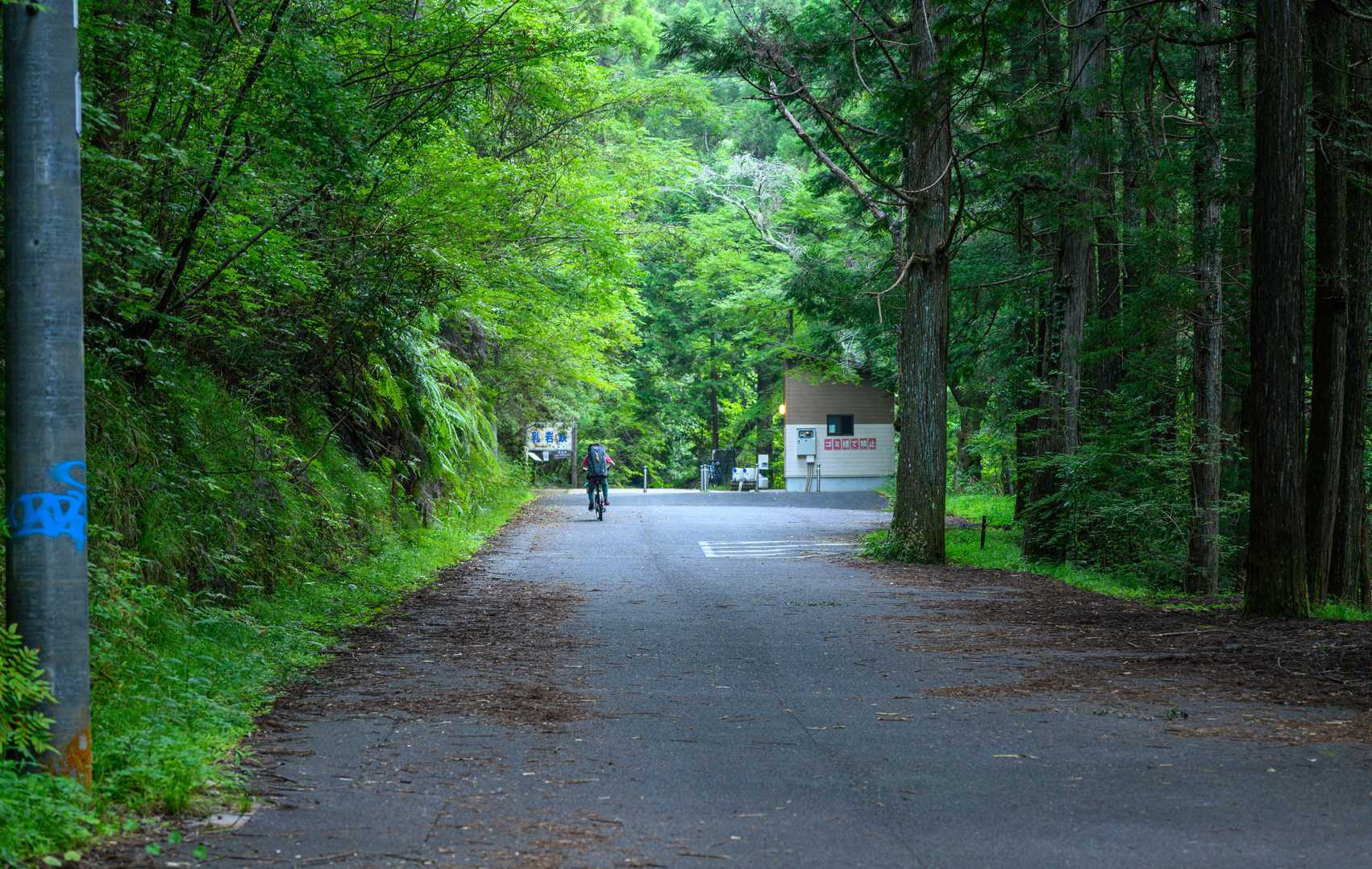 帰る頃。
自転車持ち込んで来る人も多いようです。
客層の多くは観光とクライミング目当てな感じです。