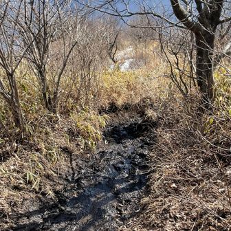 すれ違いで下る方に教えて頂き、
一番ぬかるんでる所は、避けて
右から登って来ました