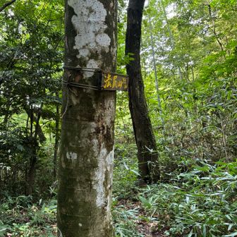 法尻山
