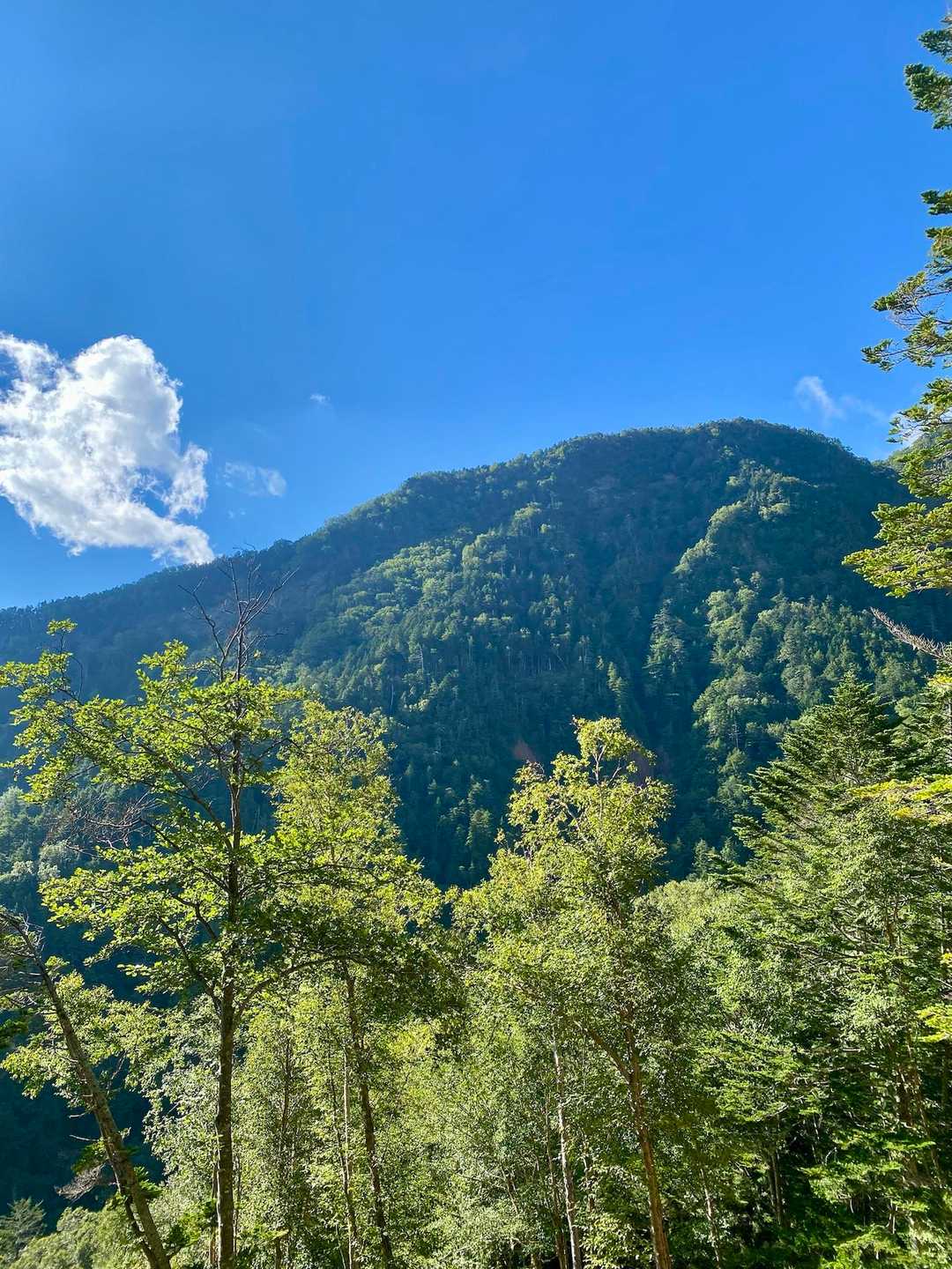 今日も良い天気☀️です
天気☀️の日の下山は楽しいですね😊