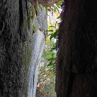 トンネルの中で見上げるとこんな感じ😁