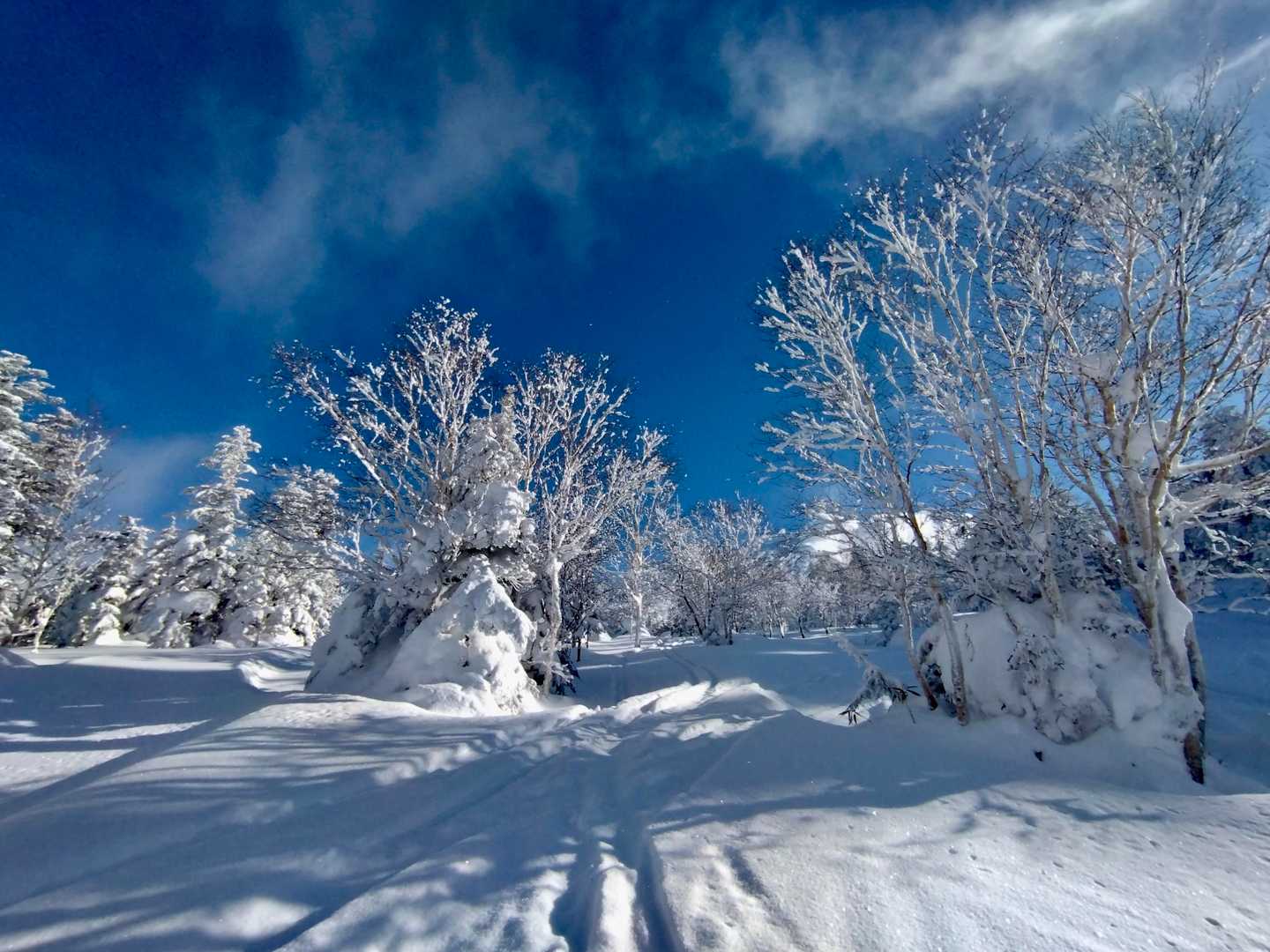三段山 往復コースの写真