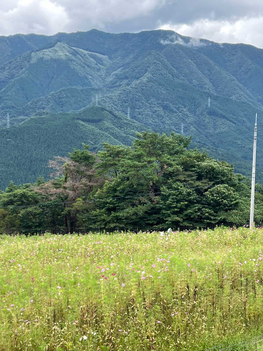 翠波高原-翠波峰 周回コースの写真