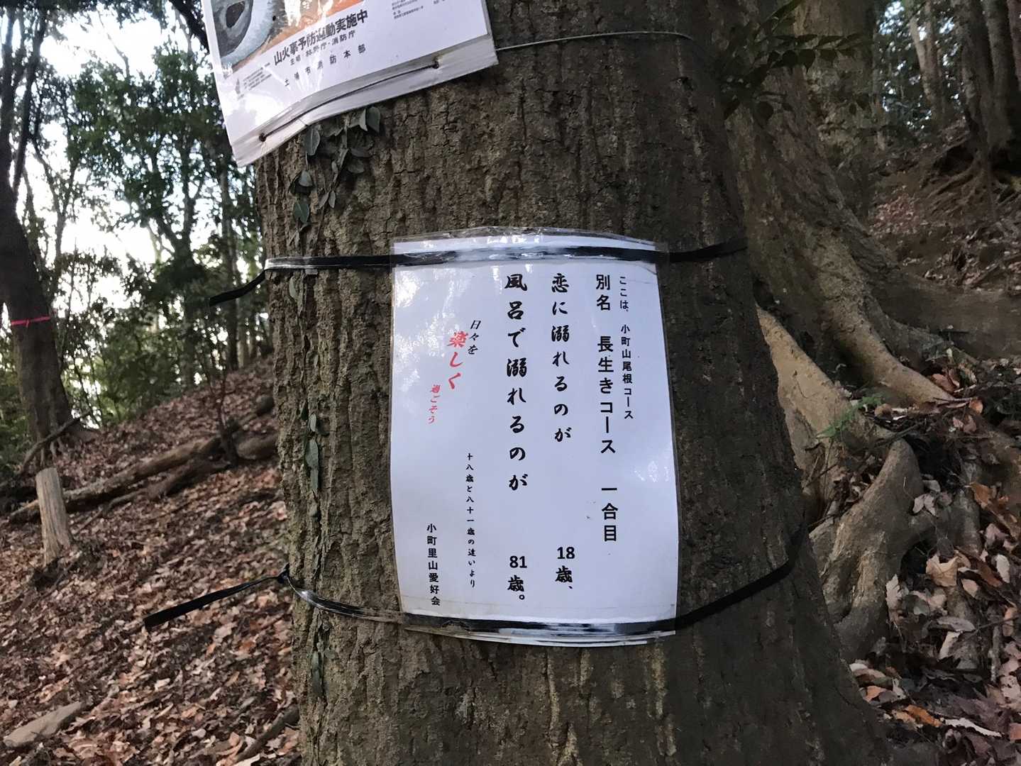 一合目
ん⁉️
別名長生きコースと言うだけあって
長生きに関する
笑えるギャグ⁈が貼り紙してあります
この後十合目まで続きますので
行かれる方は是非お楽しみにどうぞ♡
楽しく登れますよ😊