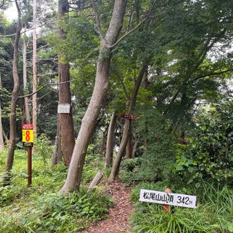 「松尾山頂上」着いた〜
眺望はありません💦