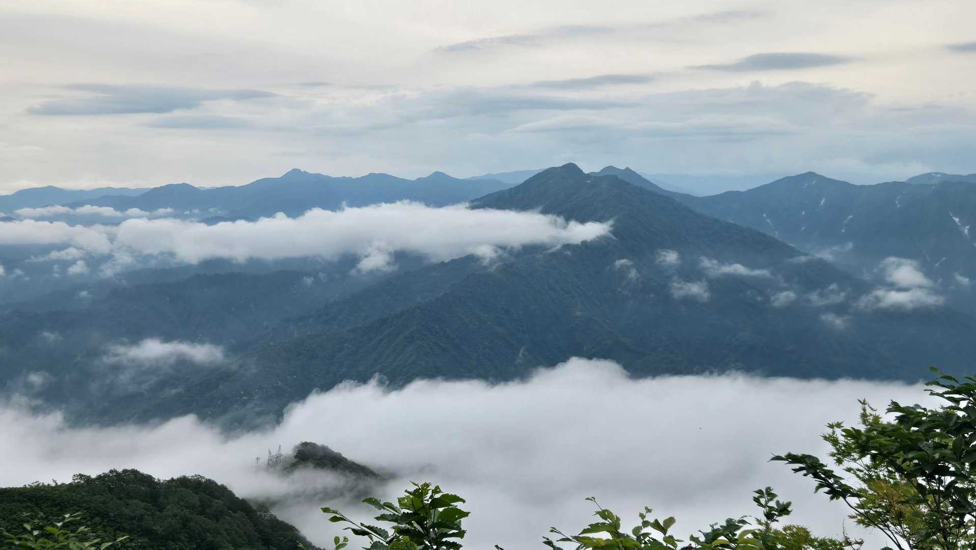 何度も振り返り