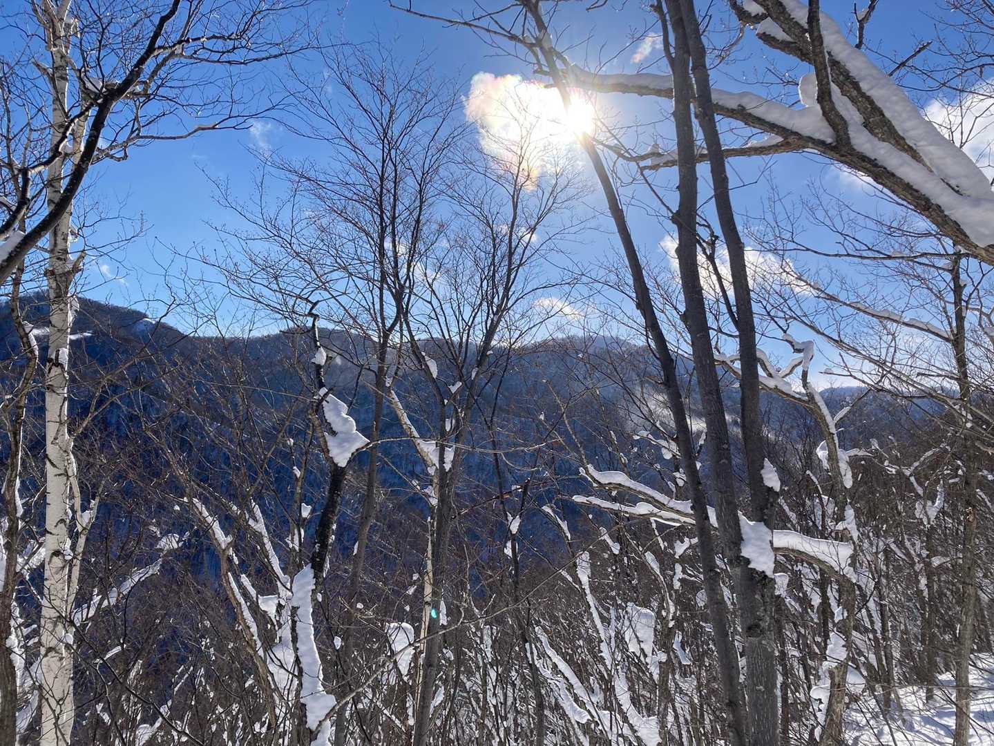 あーいい天気☀️