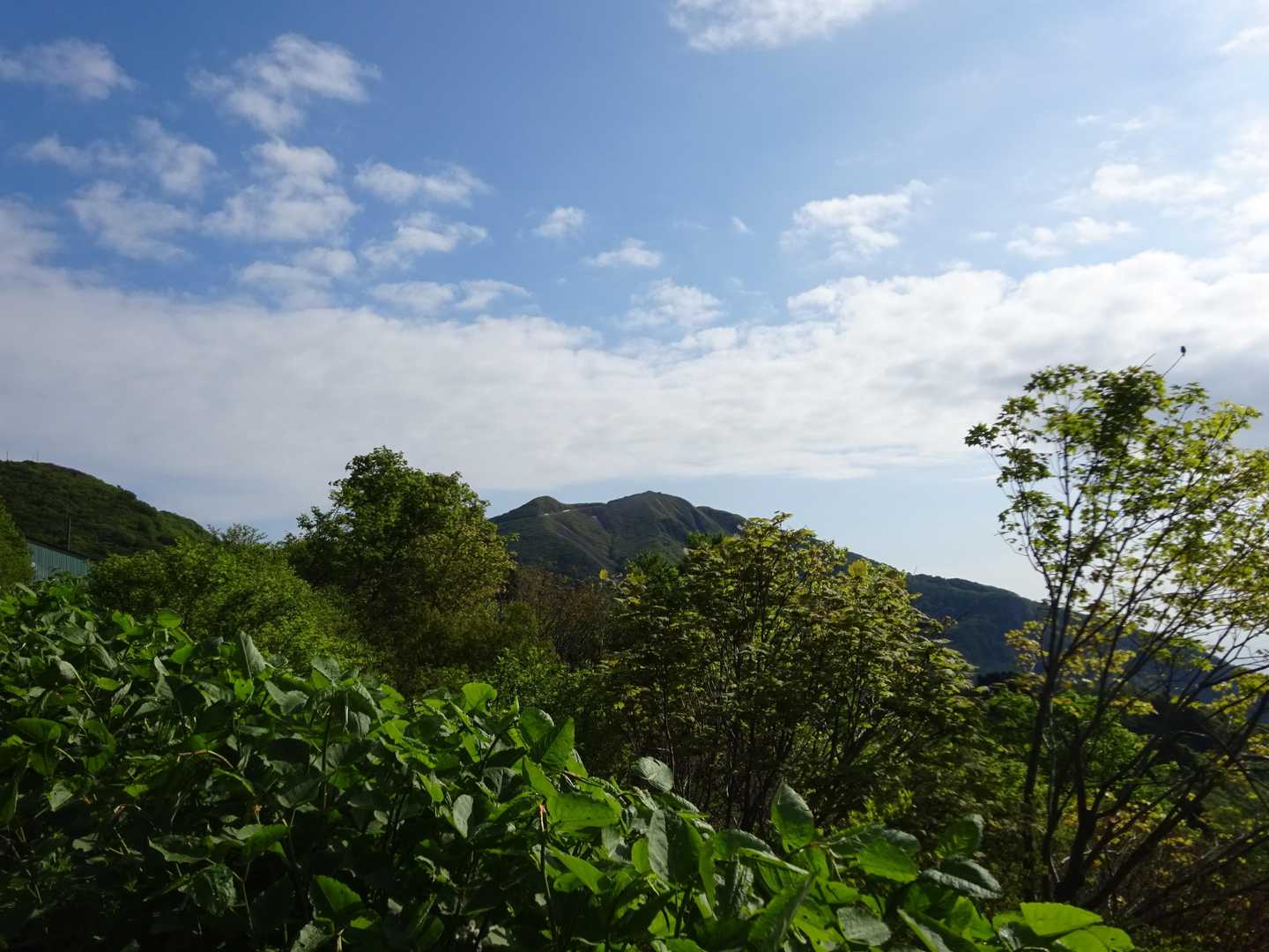 金北山
