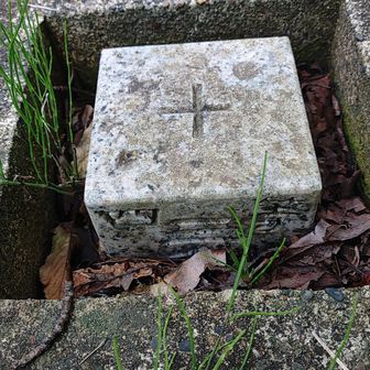 登山口の四等三角点
基準点名「追田」
標高57.95m
北緯 37度19分19秒
東経 138度38分47秒