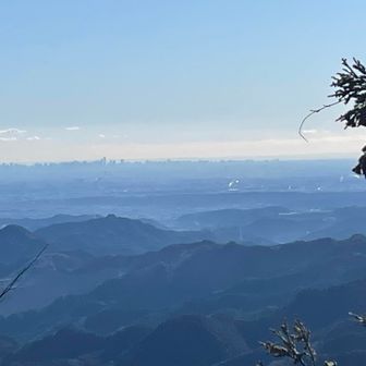 幻想的😽

写真だとわからないけど東京湾がキラキラ輝いてました✨
