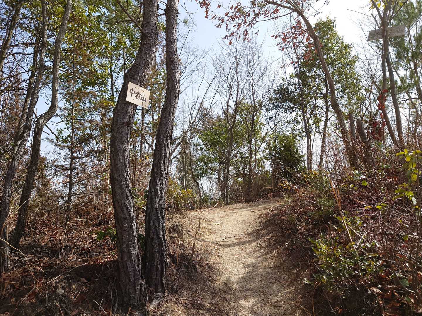 八景5中倉山
ほぼ舗装道路歩き