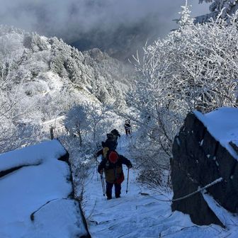 仲間たち上がってきましたー