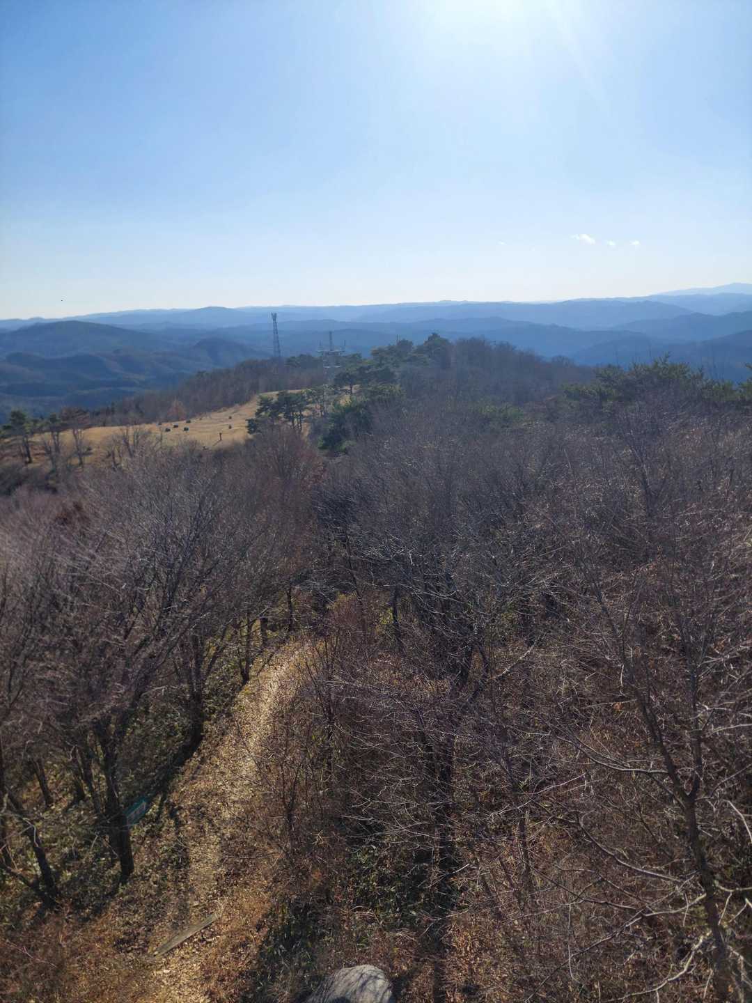 芝山 往復コースの写真