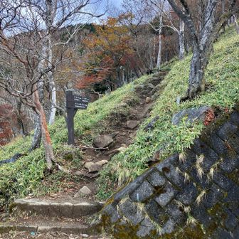 半月山🅿️横道　ここからスタート♪登山者用の木の棒が用意されています！👏