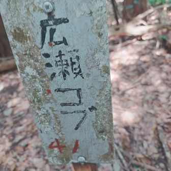 ラ🐍