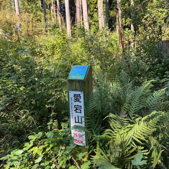 全然進んでない