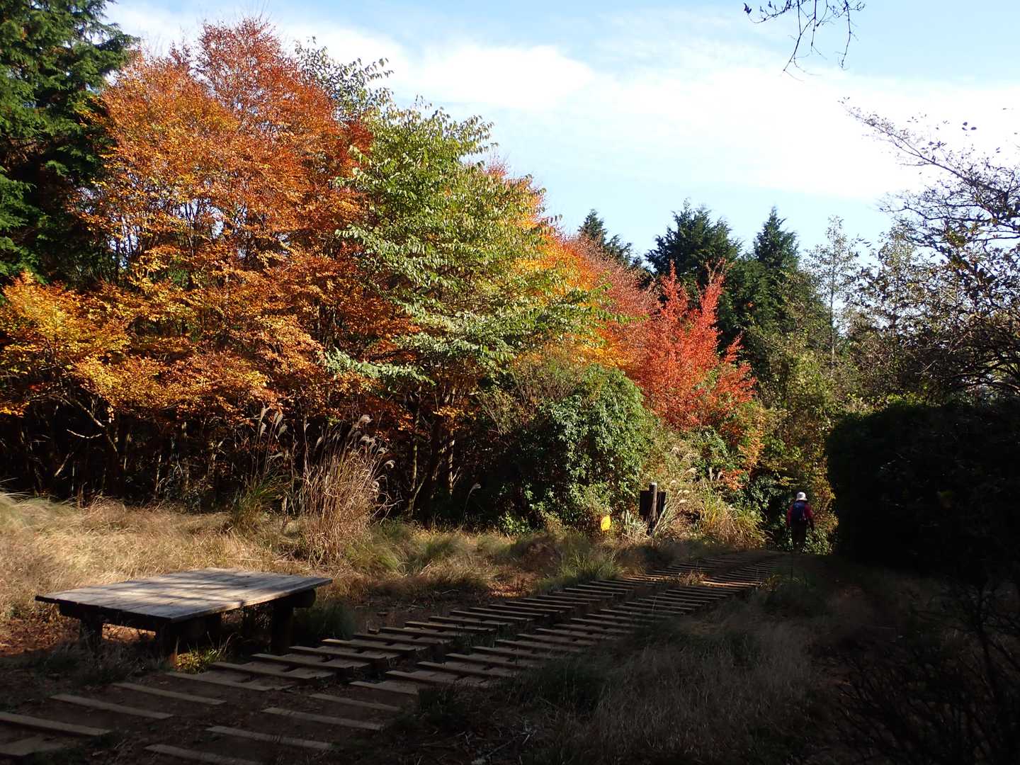しばし休憩。