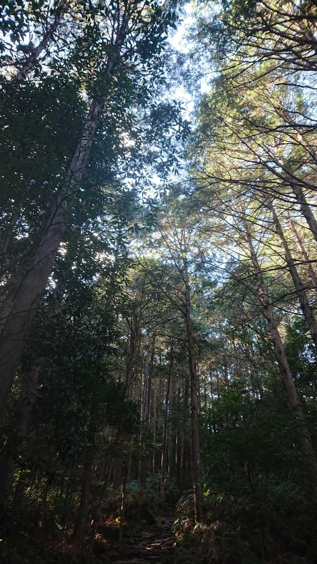 空気がおいしい😊