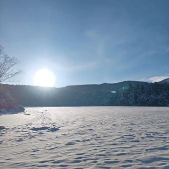 凍った白駒池と朝日