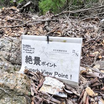 霧山唯一の展望ポイント。