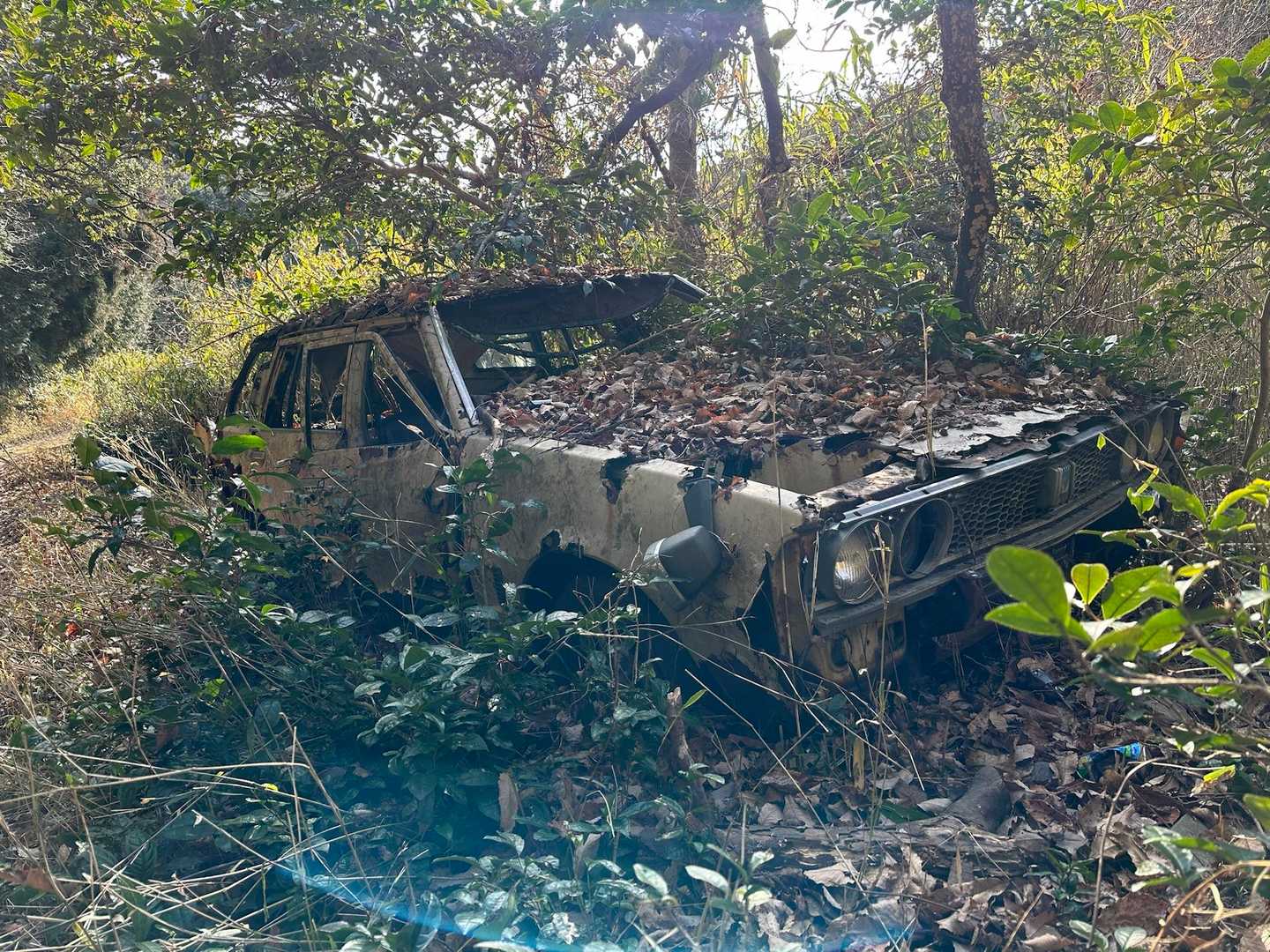 🚗🚗草ヒロ