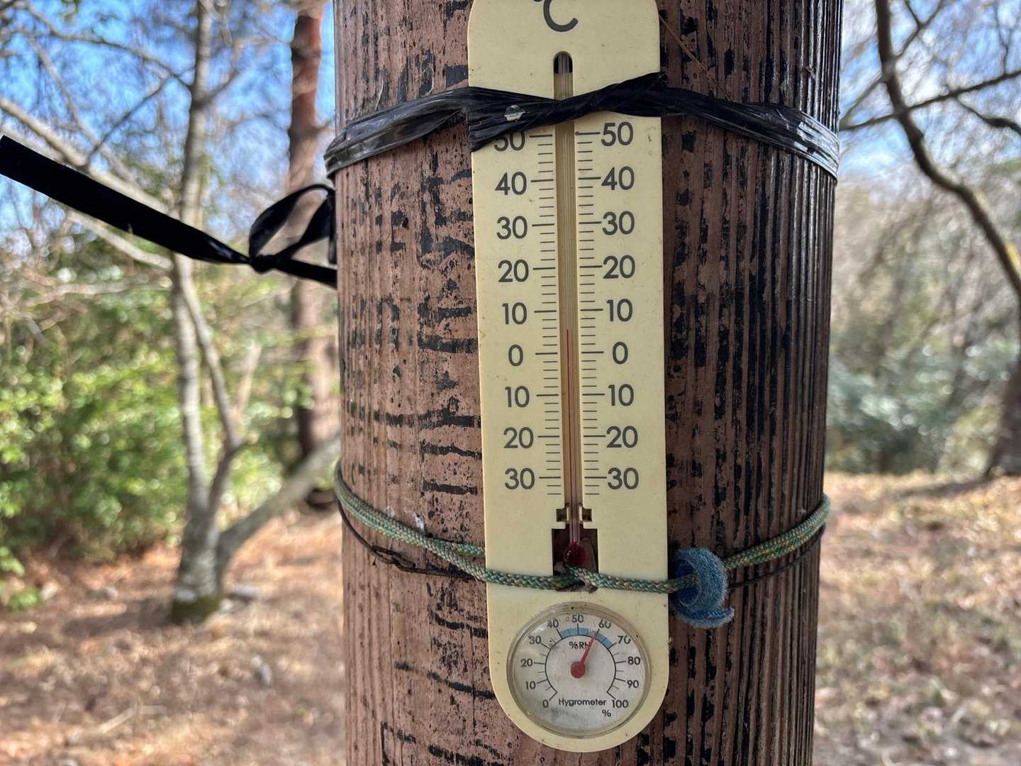 東屋に掛けられた温度計🌡️
気温は6℃  日陰は寒いです
